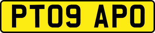 PT09APO