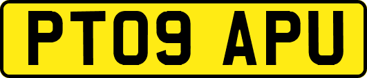PT09APU
