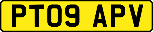 PT09APV