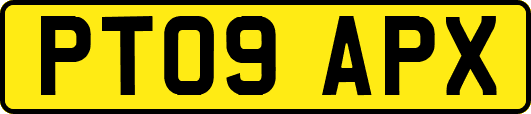 PT09APX
