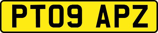 PT09APZ