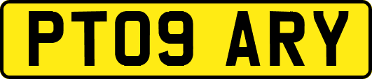 PT09ARY