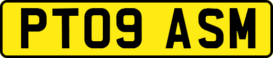 PT09ASM