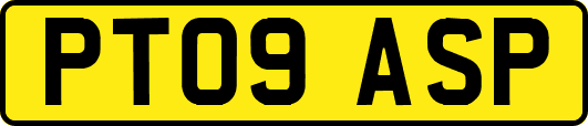 PT09ASP