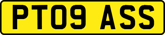 PT09ASS