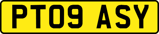 PT09ASY