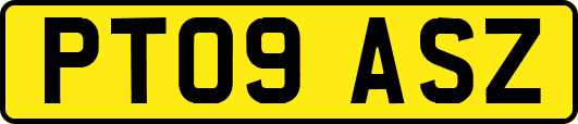 PT09ASZ