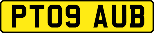 PT09AUB