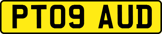 PT09AUD