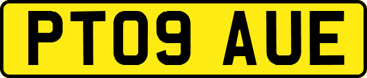 PT09AUE