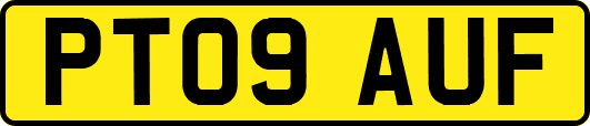 PT09AUF