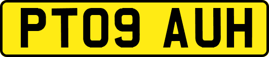 PT09AUH