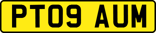 PT09AUM