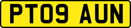 PT09AUN