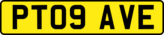 PT09AVE