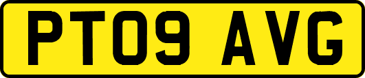 PT09AVG