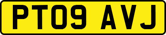 PT09AVJ