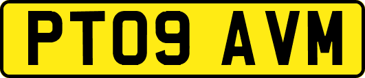 PT09AVM