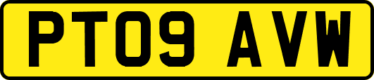 PT09AVW