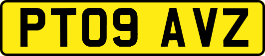PT09AVZ