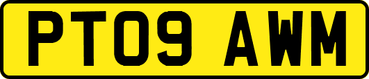 PT09AWM