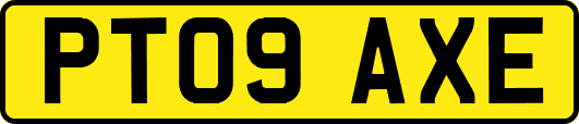 PT09AXE