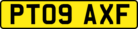 PT09AXF