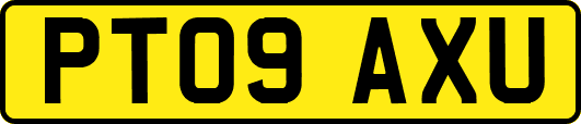 PT09AXU