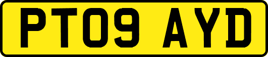 PT09AYD