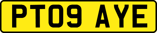 PT09AYE