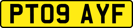 PT09AYF