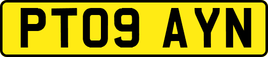 PT09AYN