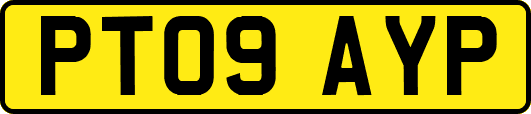 PT09AYP