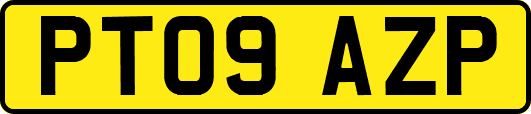 PT09AZP
