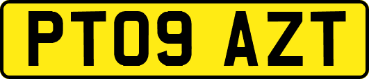 PT09AZT
