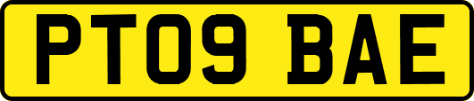 PT09BAE