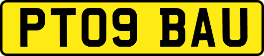 PT09BAU