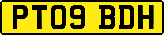 PT09BDH