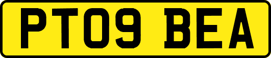 PT09BEA