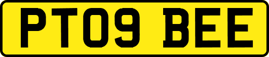 PT09BEE