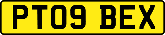 PT09BEX