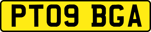 PT09BGA