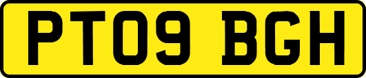 PT09BGH