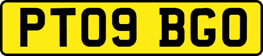 PT09BGO