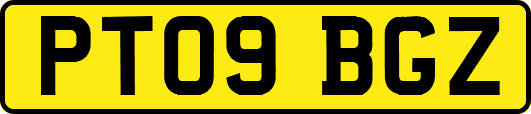 PT09BGZ