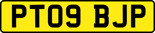 PT09BJP
