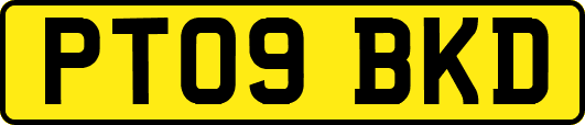 PT09BKD
