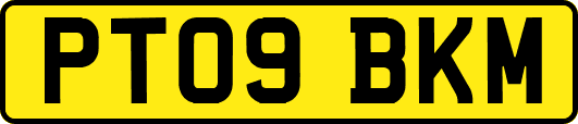 PT09BKM