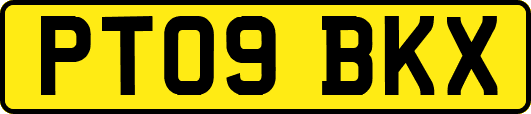 PT09BKX