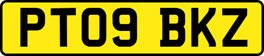 PT09BKZ